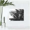 Picture of Fern Garden  _GroupedProduct_Rectangle_Landscape_Photography _GroupedProduct_Rectangle_Landscape_Unframed_Print_Only_