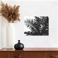 Picture of Fern Garden  _GroupedProduct_Rectangle_Landscape_Photography _GroupedProduct_Rectangle_Landscape_Unframed_Print_Only_