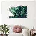 Picture of Fern Garden  _GroupedProduct_Rectangle_Landscape_Photography _GroupedProduct_Rectangle_Landscape_Unframed_Print_Only_
