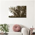 Picture of Fern Garden  _GroupedProduct_Rectangle_Landscape_Photography _GroupedProduct_Rectangle_Landscape_Unframed_Print_Only_