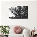 Picture of Fern Garden  _GroupedProduct_Rectangle_Landscape_Photography _GroupedProduct_Rectangle_Landscape_Unframed_Print_Only_