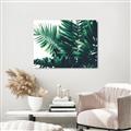 Picture of Fern Garden  _GroupedProduct_Rectangle_Landscape_Photography _GroupedProduct_Rectangle_Landscape_Unframed_Print_Only_