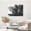 Picture of Fern Garden  _GroupedProduct_Rectangle_Landscape_Photography _GroupedProduct_Rectangle_Landscape_Unframed_Print_Only_