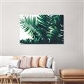 Picture of Fern Garden  _GroupedProduct_Rectangle_Landscape_Photography _GroupedProduct_Rectangle_Landscape_Unframed_Print_Only_