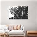 Picture of Fern Garden  _GroupedProduct_Rectangle_Landscape_Photography _GroupedProduct_Rectangle_Landscape_Unframed_Print_Only_