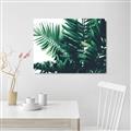Picture of Fern Garden  _GroupedProduct_Rectangle_Landscape_Photography _GroupedProduct_Rectangle_Landscape_Unframed_Print_Only_