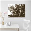Picture of Fern Garden  _GroupedProduct_Rectangle_Landscape_Photography _GroupedProduct_Rectangle_Landscape_Unframed_Print_Only_