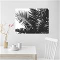 Picture of Fern Garden  _GroupedProduct_Rectangle_Landscape_Photography _GroupedProduct_Rectangle_Landscape_Unframed_Print_Only_