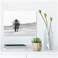 Picture of Sandy Desert  _GroupedProduct_Rectangle_Landscape_Photography _GroupedProduct_Rectangle_Landscape_Unframed_Print_Only_