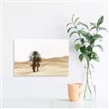 Picture of Sandy Desert  _GroupedProduct_Rectangle_Landscape_Photography _GroupedProduct_Rectangle_Landscape_Unframed_Print_Only_
