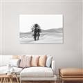 Picture of Sandy Desert  _GroupedProduct_Rectangle_Landscape_Photography _GroupedProduct_Rectangle_Landscape_Unframed_Print_Only_