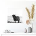 Picture of Scottish Fields Highland B&W _GroupedProduct_Square_Photography _GroupedProduct_Square_Unframed_Print_Only_