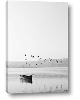 Picture of Birds over the Water