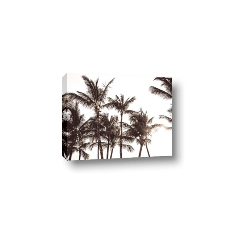 Picture of Cali Palms Sepia Collection _GroupedProduct_Rectangle_Landscape_Photography _GroupedProduct_Rectangle_Landscape_Canvas_