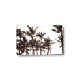 Picture of Cali Palms Sepia Collection _GroupedProduct_Rectangle_Landscape_Photography _GroupedProduct_Rectangle_Landscape_Canvas_