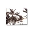 Picture of Cali Palms Sepia Collection _GroupedProduct_Rectangle_Landscape_Photography _GroupedProduct_Rectangle_Landscape_Canvas_