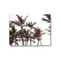Picture of Cali Palms Sepia Collection _GroupedProduct_Rectangle_Landscape_Photography _GroupedProduct_Rectangle_Landscape_Canvas_