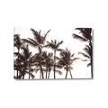 Picture of Cali Palms Sepia Collection _GroupedProduct_Rectangle_Landscape_Photography _GroupedProduct_Rectangle_Landscape_Canvas_