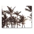 Picture of Cali Palms Sepia Collection _GroupedProduct_Rectangle_Landscape_Photography _GroupedProduct_Rectangle_Landscape_Canvas_