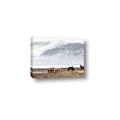 Picture of Wild Horses _GroupedProduct_Rectangle_Landscape_Photography _GroupedProduct_Rectangle_Landscape_Canvas_
