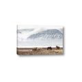 Picture of Wild Horses _GroupedProduct_Rectangle_Landscape_Photography _GroupedProduct_Rectangle_Landscape_Canvas_