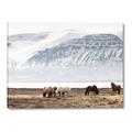 Picture of Wild Horses _GroupedProduct_Rectangle_Landscape_Photography _GroupedProduct_Rectangle_Landscape_Canvas_