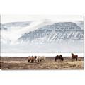 Picture of Wild Horses _GroupedProduct_Rectangle_Landscape_Photography _GroupedProduct_Rectangle_Landscape_Canvas_