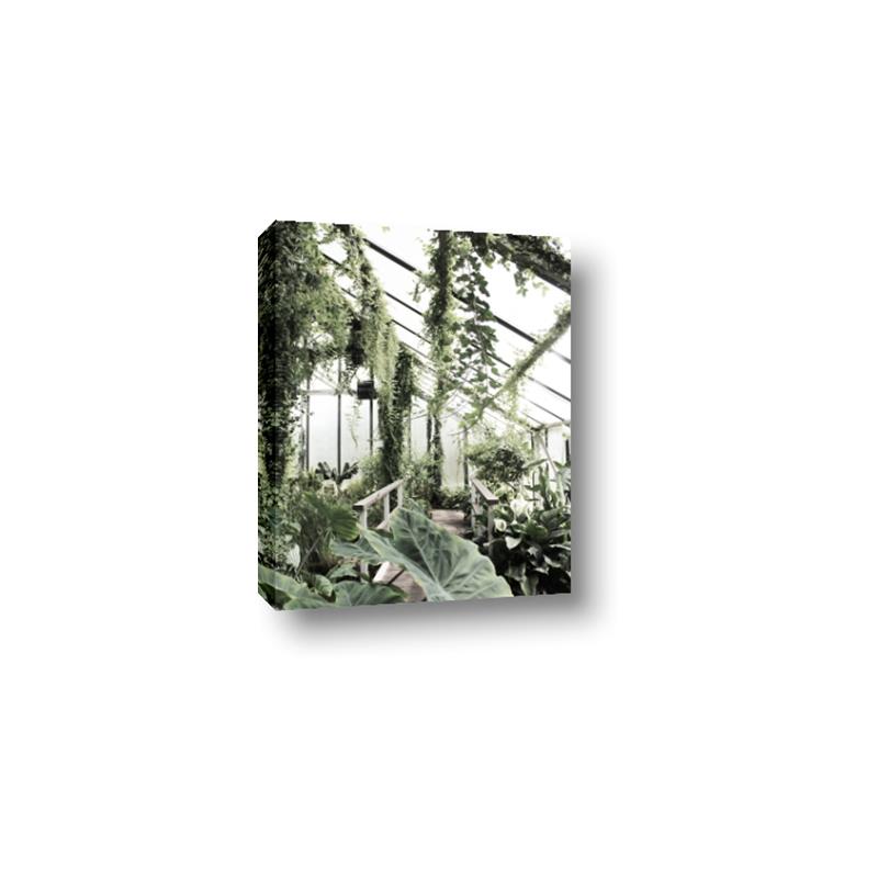 Picture of Greenhouse Serenity  _GroupedProduct_Rectangle_Portrait_Photography _GroupedProduct_Rectangle_Portrait_Canvas_