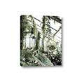 Picture of Greenhouse Serenity  _GroupedProduct_Rectangle_Portrait_Photography _GroupedProduct_Rectangle_Portrait_Canvas_