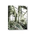Picture of Greenhouse Serenity  _GroupedProduct_Rectangle_Portrait_Photography _GroupedProduct_Rectangle_Portrait_Canvas_