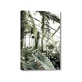 Picture of Greenhouse Serenity  _GroupedProduct_Rectangle_Portrait_Photography _GroupedProduct_Rectangle_Portrait_Canvas_