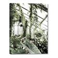 Picture of Greenhouse Serenity  _GroupedProduct_Rectangle_Portrait_Photography _GroupedProduct_Rectangle_Portrait_Canvas_