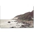 Picture of Rocky Ocean Shore _GroupedProduct_Rectangle_Landscape_Photography _GroupedProduct_Rectangle_Landscape_Canvas_