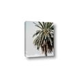 Picture of Canary Palm _GroupedProduct_Rectangle_Portrait_Photography _GroupedProduct_Rectangle_Portrait_Canvas_