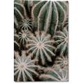 Picture of Cactus Zone _GroupedProduct_Rectangle_Portrait_Photography _GroupedProduct_Rectangle_Portrait_Canvas_
