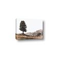 Picture of Tree on a Hill _GroupedProduct_Rectangle_Landscape_Photography _GroupedProduct_Rectangle_Landscape_Canvas_