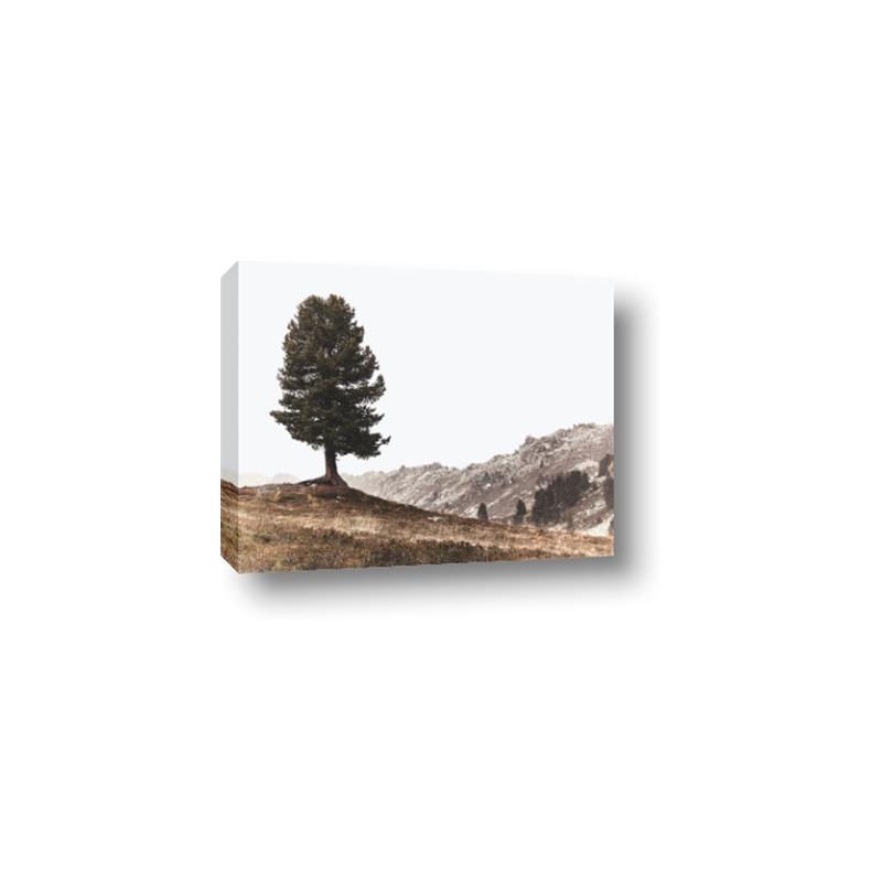 Picture of Tree on a Hill _GroupedProduct_Rectangle_Landscape_Photography _GroupedProduct_Rectangle_Landscape_Canvas_