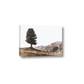 Picture of Tree on a Hill _GroupedProduct_Rectangle_Landscape_Photography _GroupedProduct_Rectangle_Landscape_Canvas_