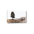 Picture of Tree on a Hill _GroupedProduct_Rectangle_Landscape_Photography _GroupedProduct_Rectangle_Landscape_Canvas_
