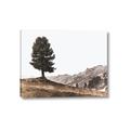 Picture of Tree on a Hill _GroupedProduct_Rectangle_Landscape_Photography _GroupedProduct_Rectangle_Landscape_Canvas_