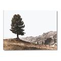Picture of Tree on a Hill _GroupedProduct_Rectangle_Landscape_Photography _GroupedProduct_Rectangle_Landscape_Canvas_