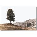 Picture of Tree on a Hill _GroupedProduct_Rectangle_Landscape_Photography _GroupedProduct_Rectangle_Landscape_Canvas_