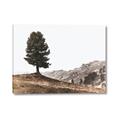 Picture of Tree on a Hill _GroupedProduct_Rectangle_Landscape_Photography _GroupedProduct_Rectangle_Landscape_Canvas_