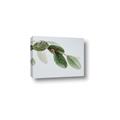 Picture of Spring Dew Leaves _GroupedProduct_Rectangle_Landscape_Photography _GroupedProduct_Rectangle_Landscape_Canvas_
