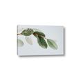 Picture of Spring Dew Leaves _GroupedProduct_Rectangle_Landscape_Photography _GroupedProduct_Rectangle_Landscape_Canvas_