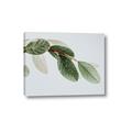 Picture of Spring Dew Leaves _GroupedProduct_Rectangle_Landscape_Photography _GroupedProduct_Rectangle_Landscape_Canvas_