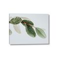 Picture of Spring Dew Leaves _GroupedProduct_Rectangle_Landscape_Photography _GroupedProduct_Rectangle_Landscape_Canvas_