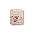 Picture of Macro Dried Florals _GroupedProduct_Rectangle_Portrait_Photography _GroupedProduct_Rectangle_Portrait_Canvas_