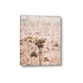 Picture of Macro Dried Florals _GroupedProduct_Rectangle_Portrait_Photography _GroupedProduct_Rectangle_Portrait_Canvas_