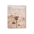 Picture of Macro Dried Florals _GroupedProduct_Rectangle_Portrait_Photography _GroupedProduct_Rectangle_Portrait_Canvas_